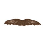 beard-2-(5)