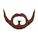 beard-3-(1)