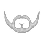 beard-3-(2)