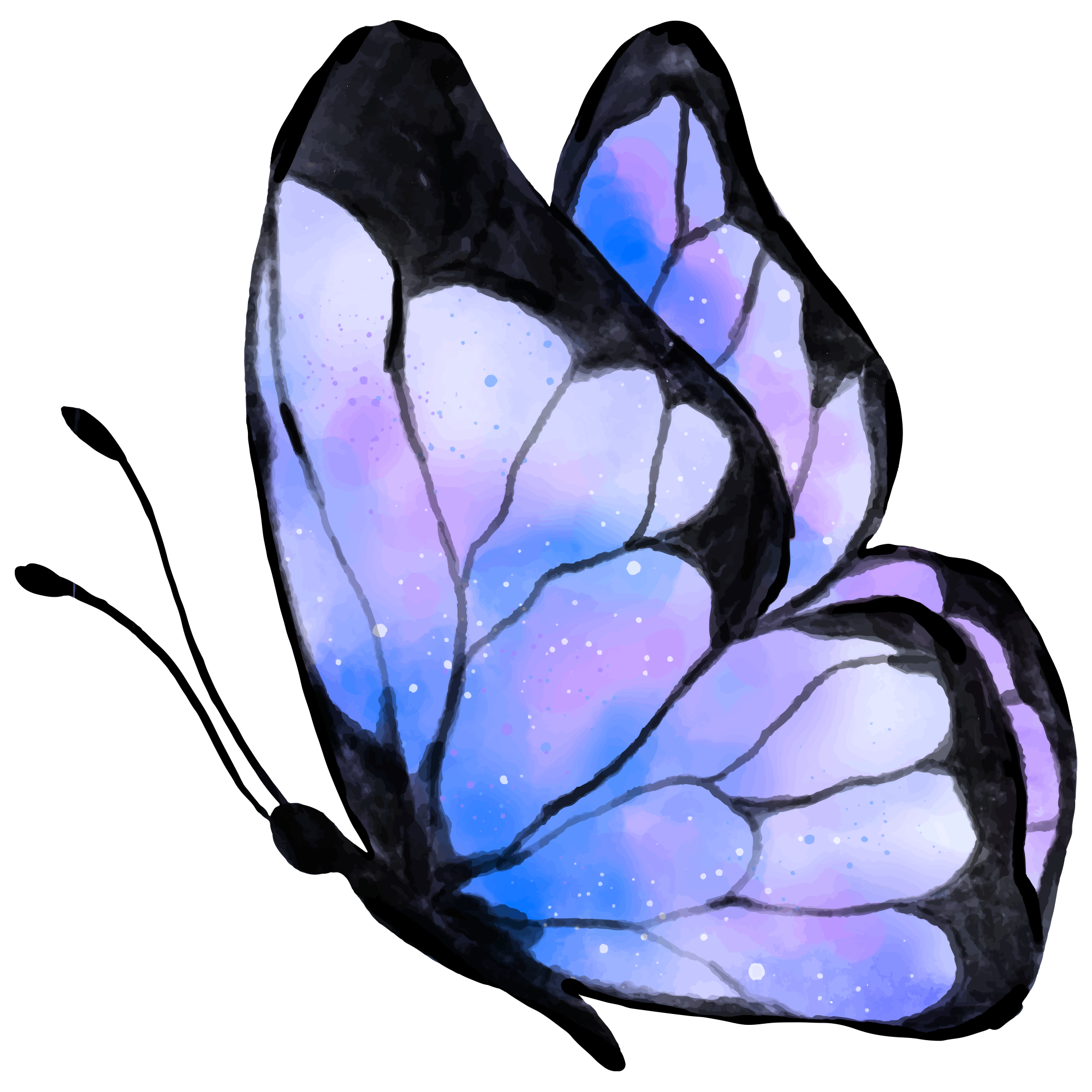 Butterfly 3