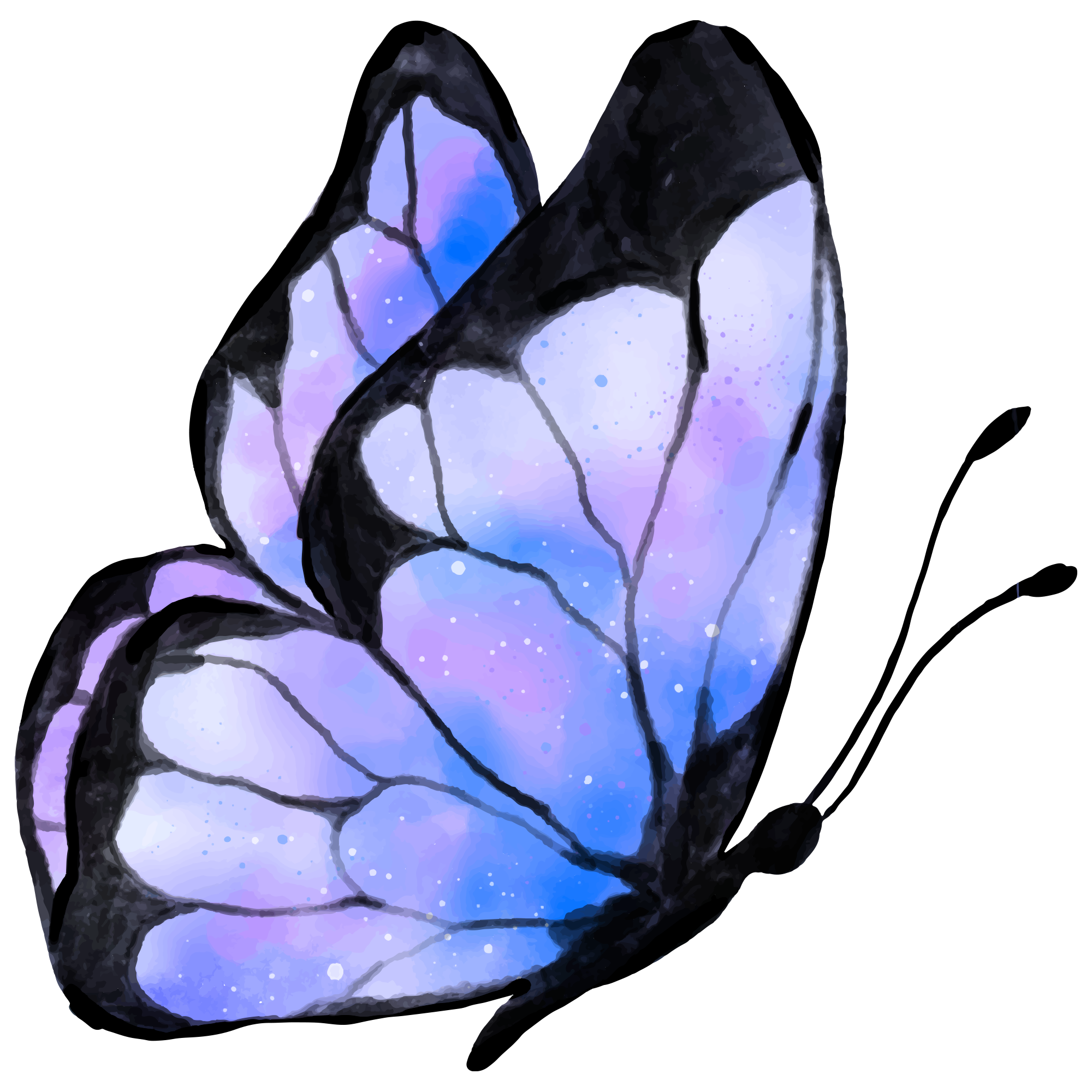 Butterfly 4
