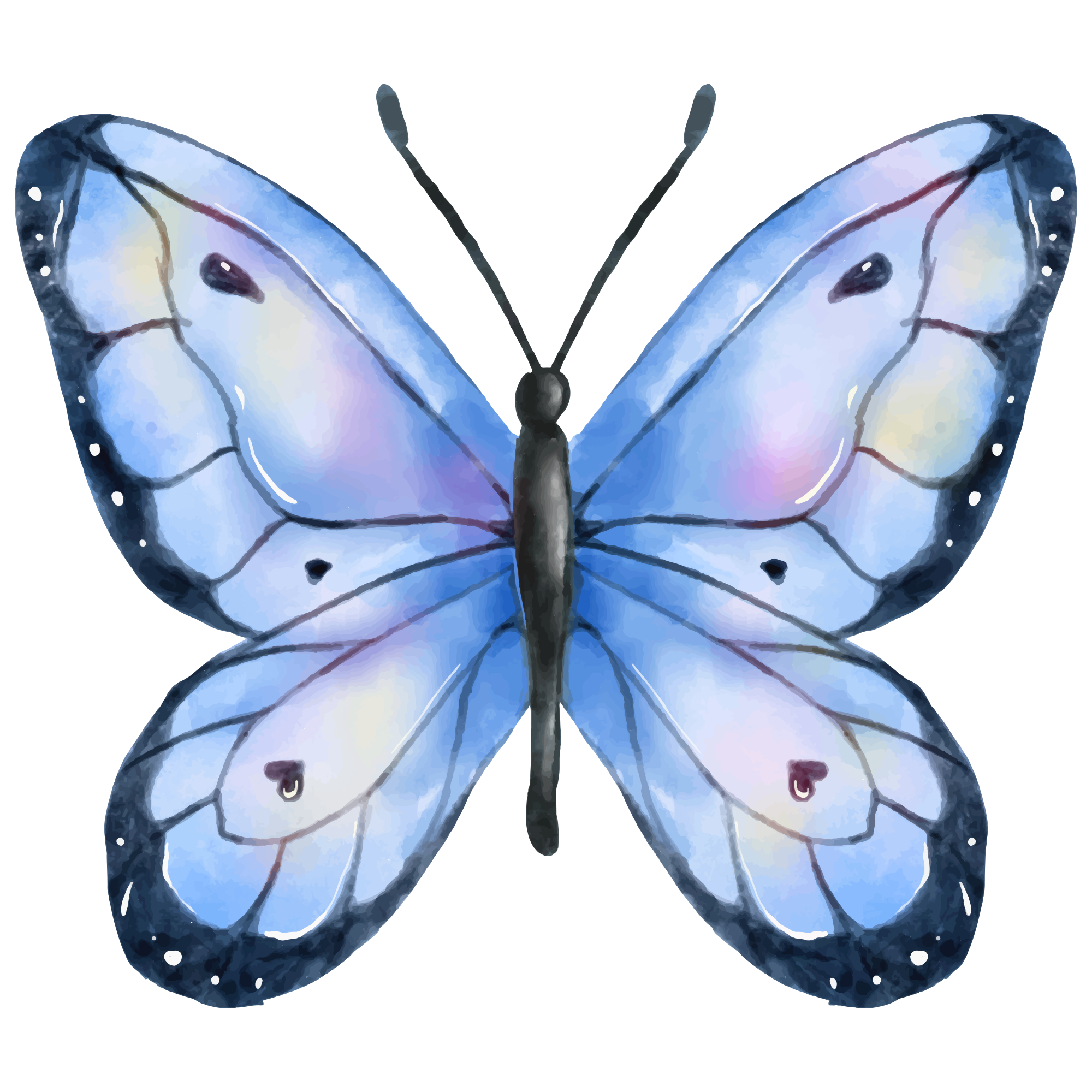 Butterfly 6