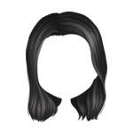 Black hair-6-(3)