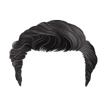 Black hair-9-(9)