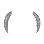 Gray hair-man-10-2