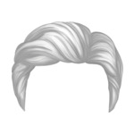 Gray hair-man-2-1