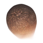 Jasny brąz M light-brown-m4
