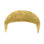 Blonde men-hair-5-5